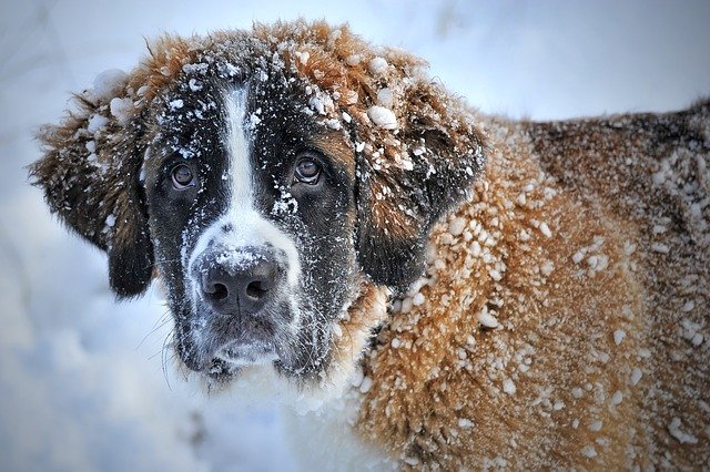 Szibériai hideg érkezik az országba jövő héten, – 20 fok is lehet! 