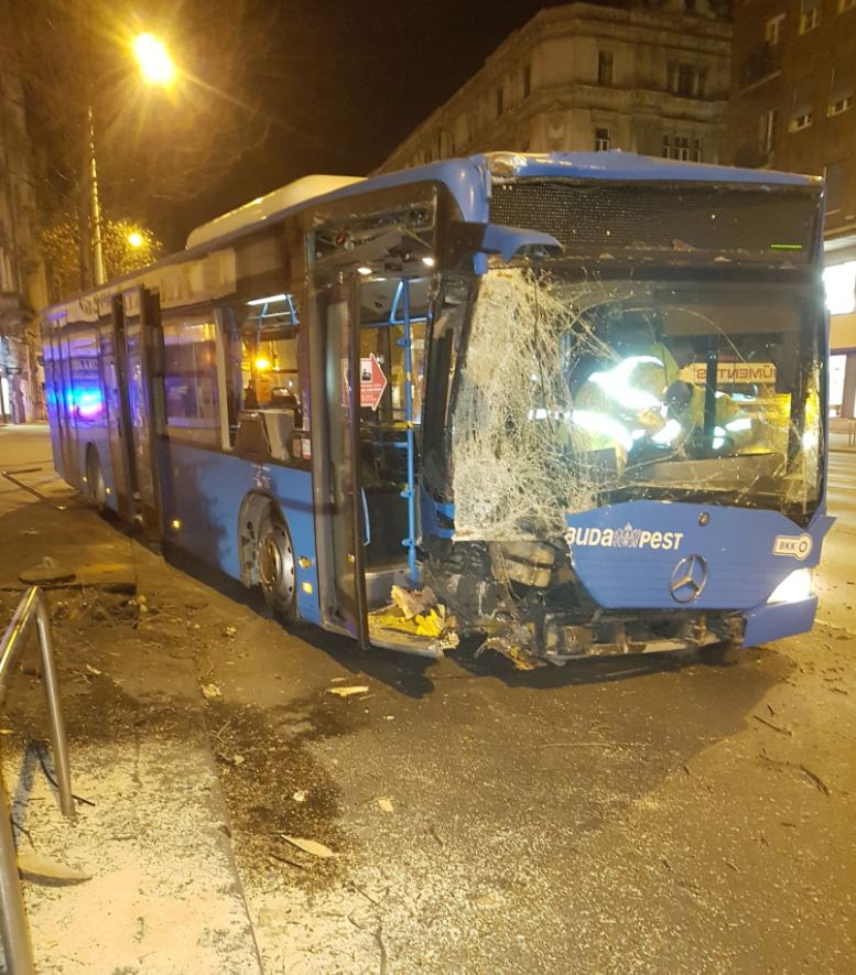 Fát döntött egy éjszakai busz a fővárosban – fotók