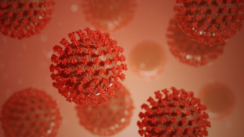 Szlovéniában is azonosították a vírus indiai változatát – WHO szerint aggasztó az indiai mutáns
