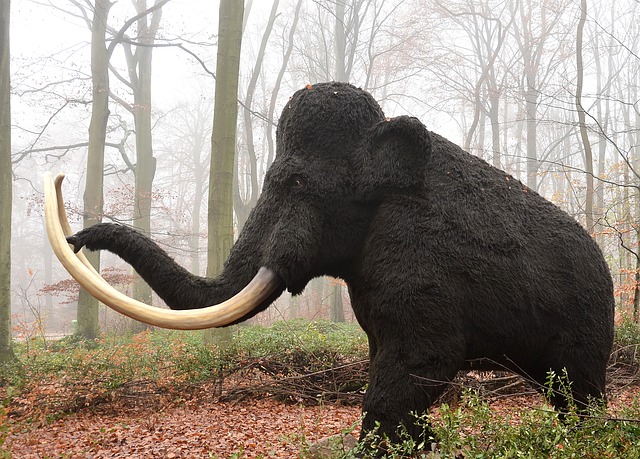 Tizenötmillió éves mamutcsontokat próbáltak átcsempészni a horvát-boszniai határon