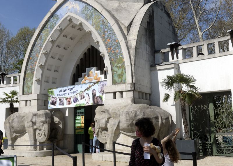 Valaki összegraffitizte a Budapesti Állatkert bejáratánál álló elefántot – Ezt a szót írták rá
