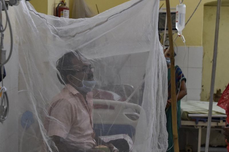 Jajj ne! Felütötte fejét Indiában a dengue-láz?