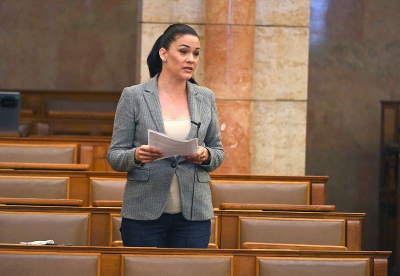 "Prostiként" aposztrofált egy magyar politikusnőt a Ripost