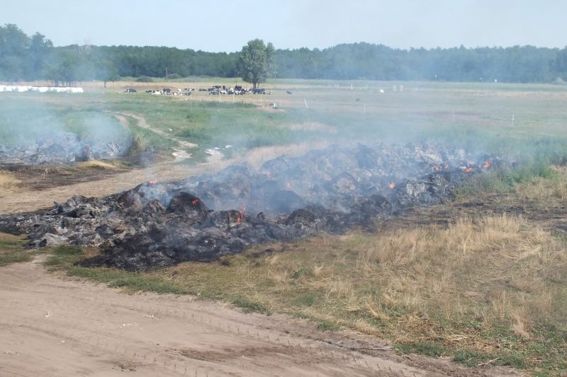 A lovász bosszúból felgyújtotta a munkaadója báláit egy ceglédi tanyán – fotó