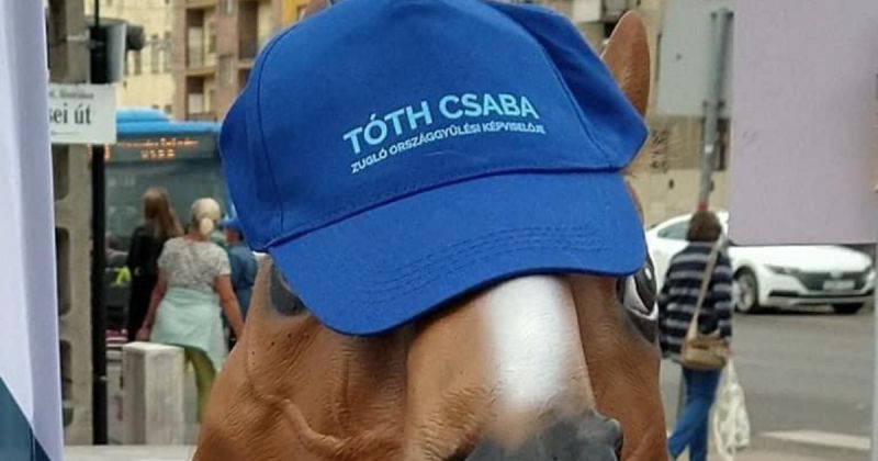 Hadházy nem felelős azért, hogy az MSZP-s Tóth Csabának lófeje volt egy Bosnyák téri rendezvényen