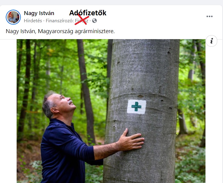 Fizetett hirdetésben nézeget egy fát Magyarország agrárminisztere
