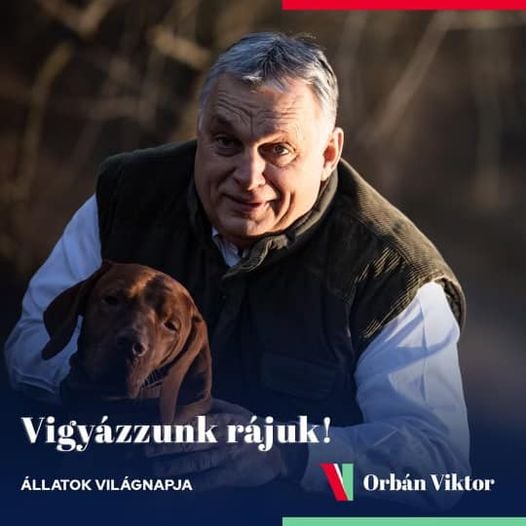 Szimplán állatnak nevezték Orbán Viktort a saját kampányában