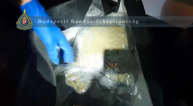 Rajtaütés Óbudán: 90 kiló marihuánát találtak – videóval