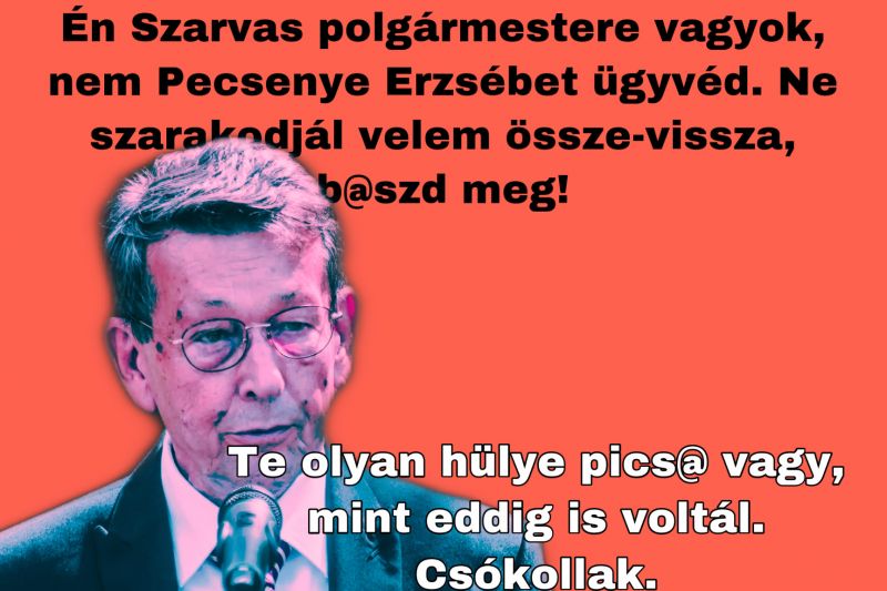"Ne szarakodjál velem b@szd meg, hülye pics@" – A fideszes polgármester megalázta képviselőtársát