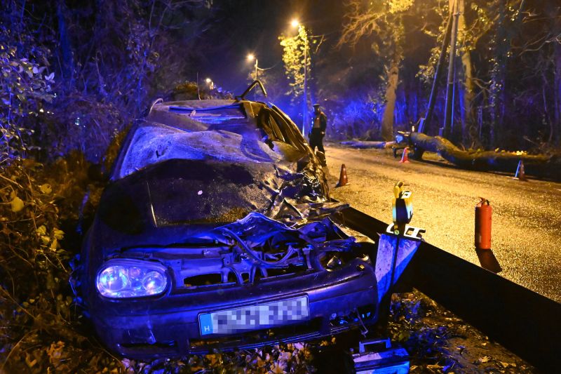 Fa dőlt egy autóra Budapesten, egy ember súlyos sérülést szenvedett