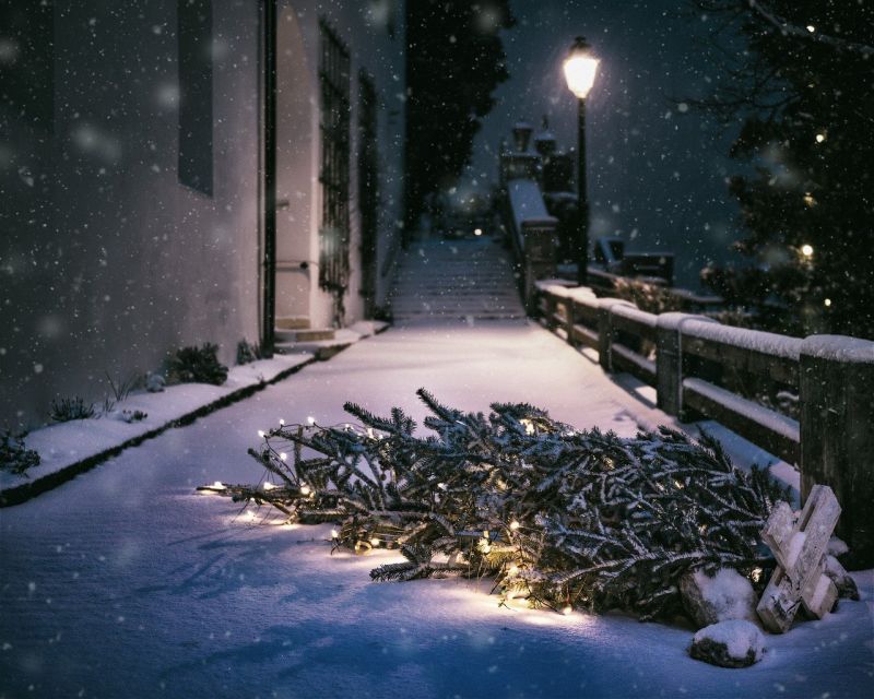 Eldőlt Kaposvár karácsonyfája, a viharos szél boríthatta fel