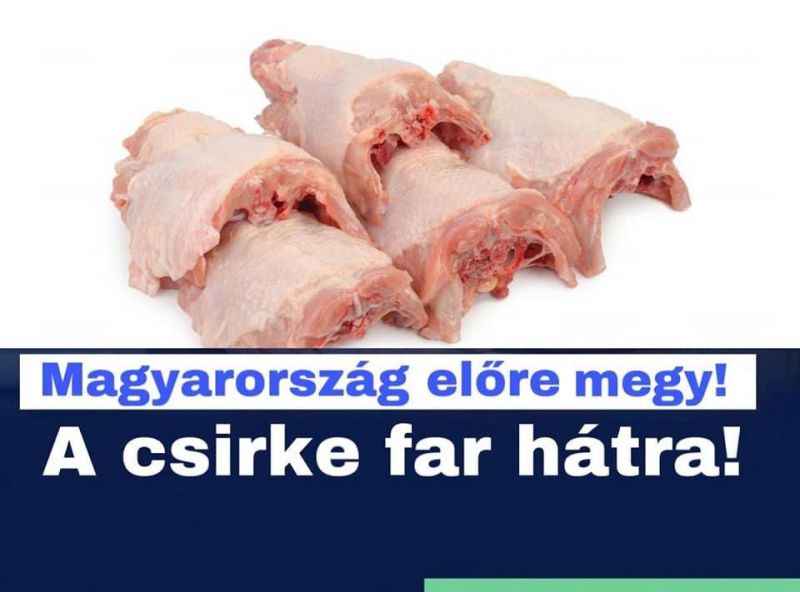 MSZP: Orbán szerint a magyarok egyenek csirkefarhátat