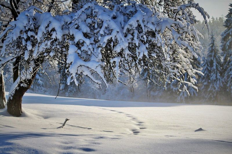 13 centis hóvastagságot mértek Békéscsabán