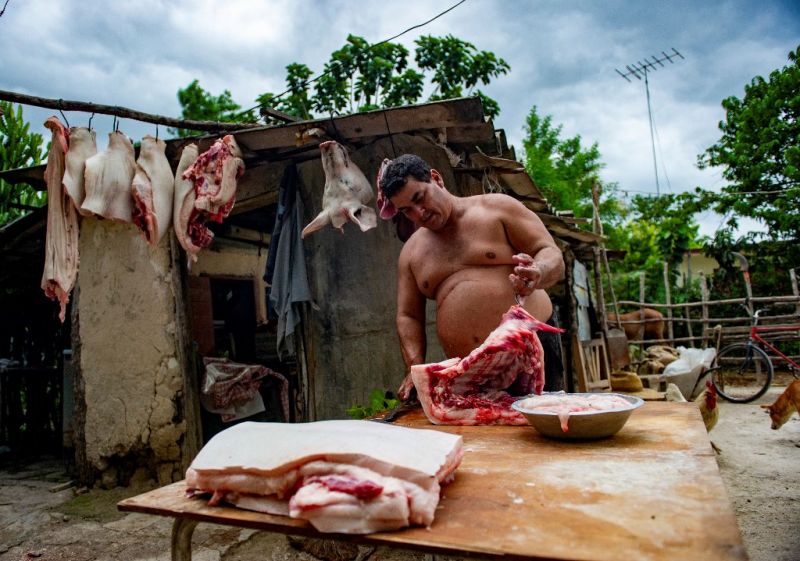 Makón disznóvágásból megmaradt húst osztottak a megfelelő szavazatokért