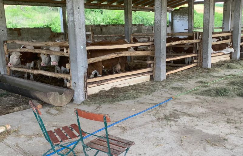 50 milliós támogatásból épült a raklapüzem a nyomorban élő faluban, ahol most csak teheneket tartanak