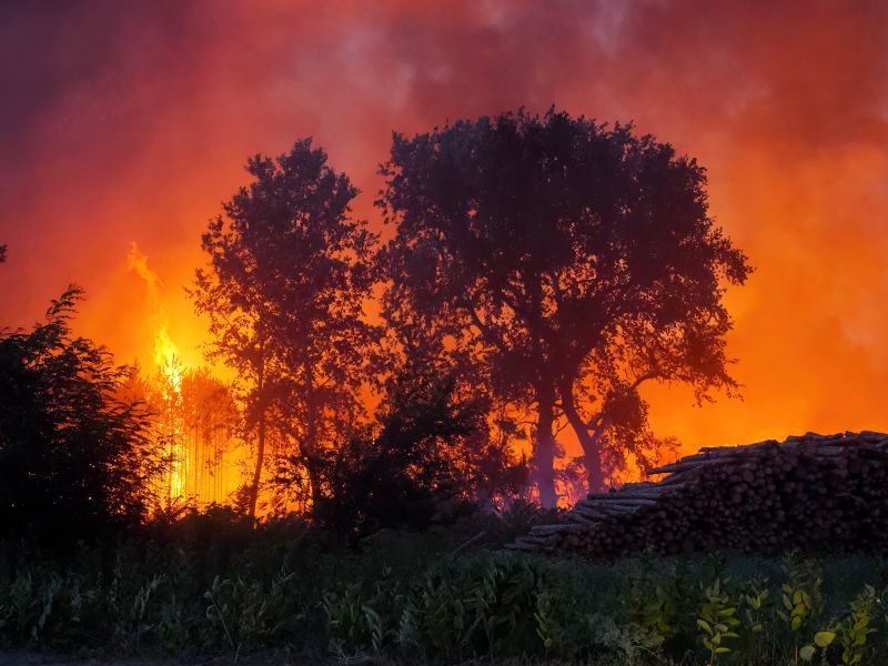 Pécs külvárosa lángol: hétvégi házak is égtek a hatalmas bozóttűzben