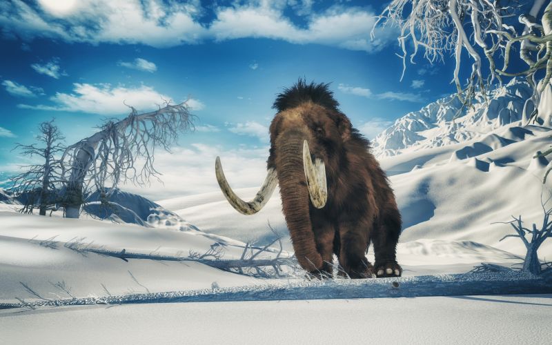 Csaknem egyméteres mamutagyarra bukkantak a régészek Vácon 