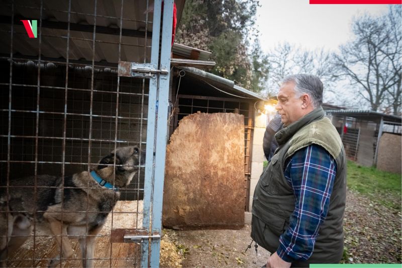 Miközben titkolják a szombati kormányülést, Orbán Viktor az ürömi állatotthonba látogatott: "Hello, Blökik!"