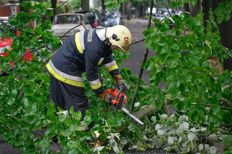 Dőlő fák, megtelő pincék – Országszerte riasztották a tűzoltókat az időjárás miatt