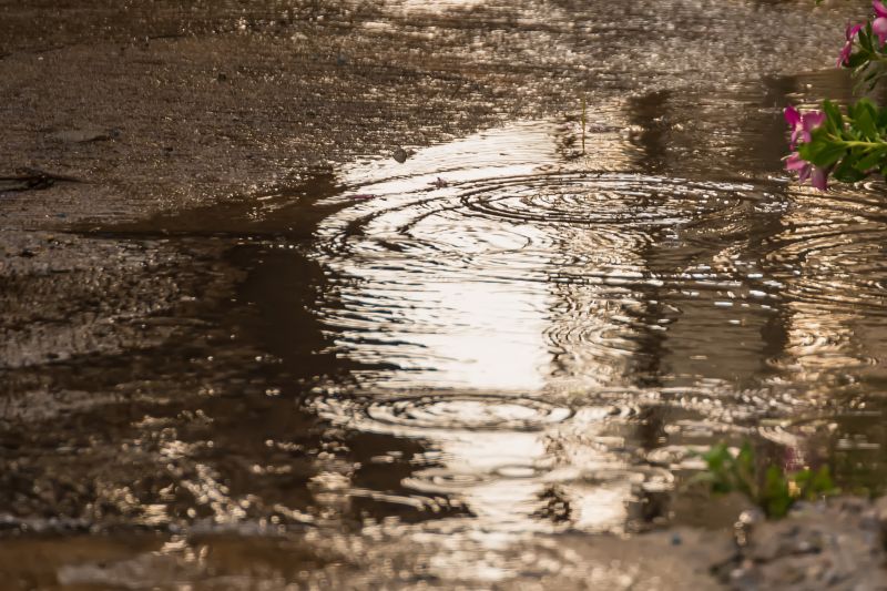 Durva rekord! Ezen a magyar településen egy nap alatt több eső esett, mint egész januárban kellett volna 