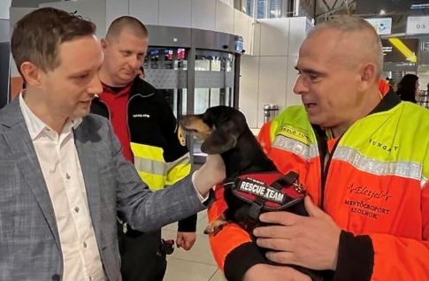 Magyarország egyetlen mentőtacskója is elindult, hogy segítsen a bajba jutott embereken Törökországban – így érkezett a reptérre Smile, a 6 kilós tacsi