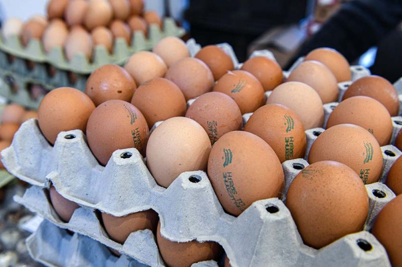 Nem lesz elegendő tojás húsvétra? –  Nem fedezi a termelés a szükségletet