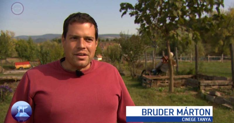 Döglött teheneket ásott el szomszédja kertében Bruder Márton, az ellenzéki politikus