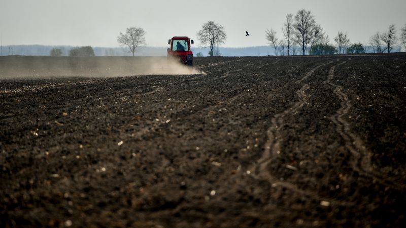 Hivatalos: a kormány meghosszabbítja és kiterjeszti az ukrán mezőgazdasági termékekre vonatkozó behozatali tilalmat