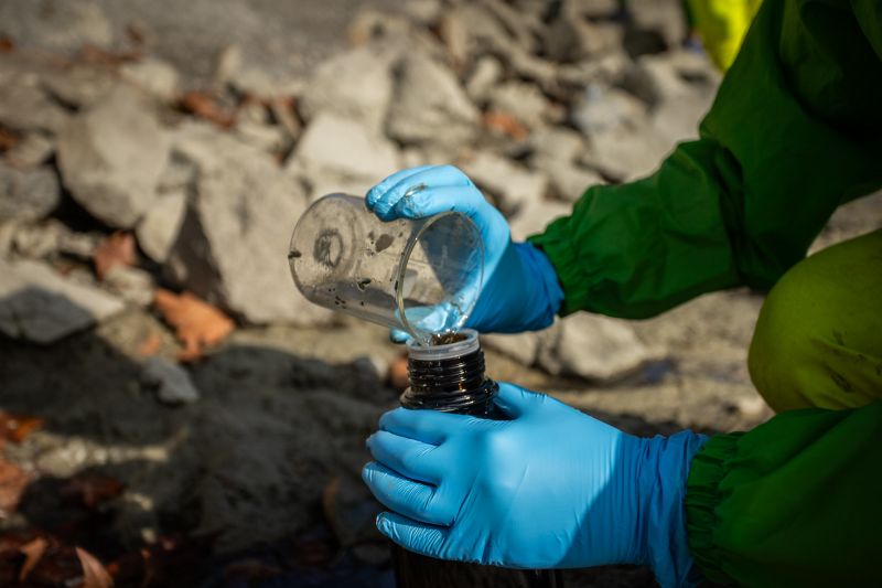 Greenpeace: Rákkeltő anyagok ömlenek Óbudán a Dunába