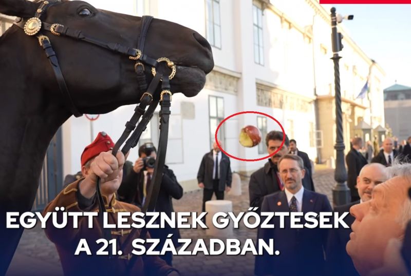 Videó: majdnem Orbán Viktor fején landolt a ló szájából kipottyanó alma
