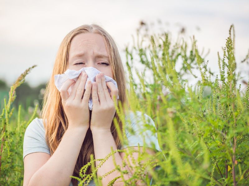 Retteghetnek az allergiások – Támadnak a pázsitfűfélék