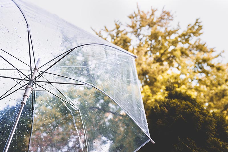 Itt szakítja meg az eső a napsütést – Érdemes esernyővel készülni