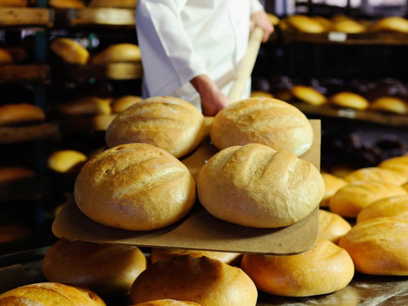 Brutál ára lesz a kenyérnek – Az idei búzatermés csak harmada alkalmas emberi fogyasztásra
