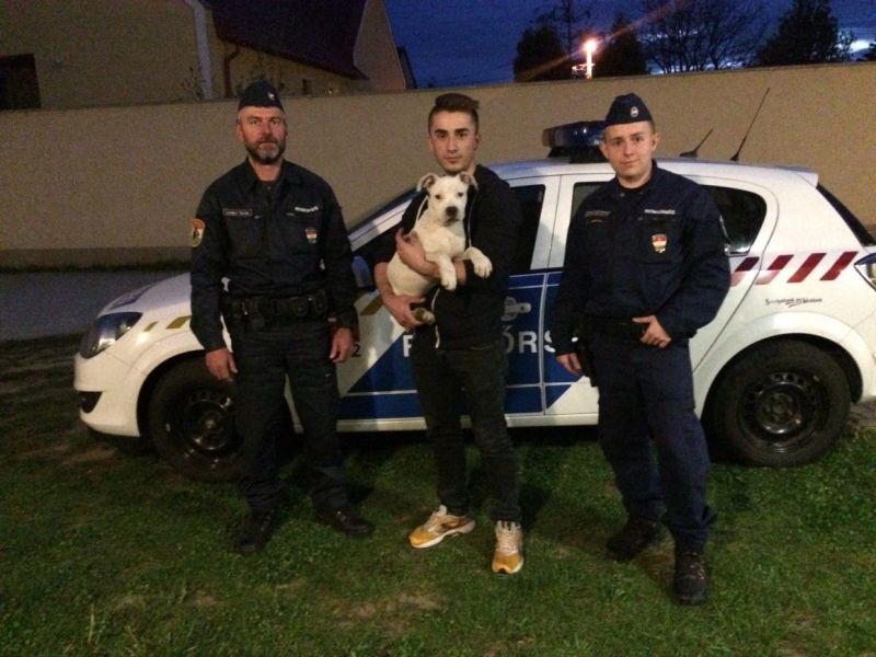 Rendőrök vitték haza Tequilát, az ellopott kiskutyát