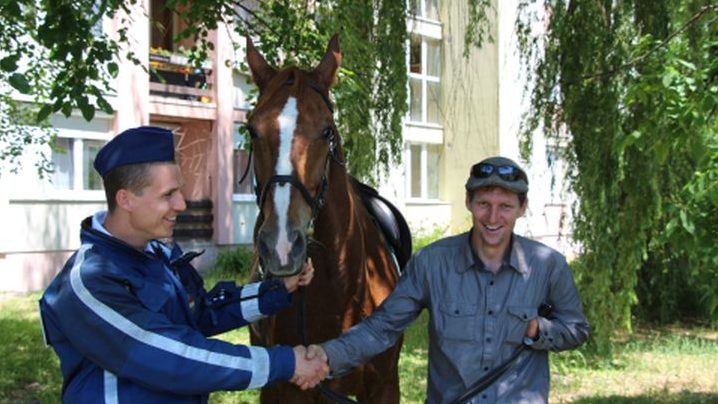 Elszabadult lovat kergettek a rendőrök