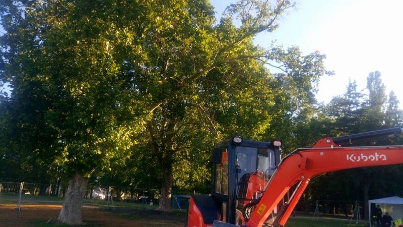 Megint helyzet van a Városligetben: a ligetvédők faátültetést próbálnak megakadályozni