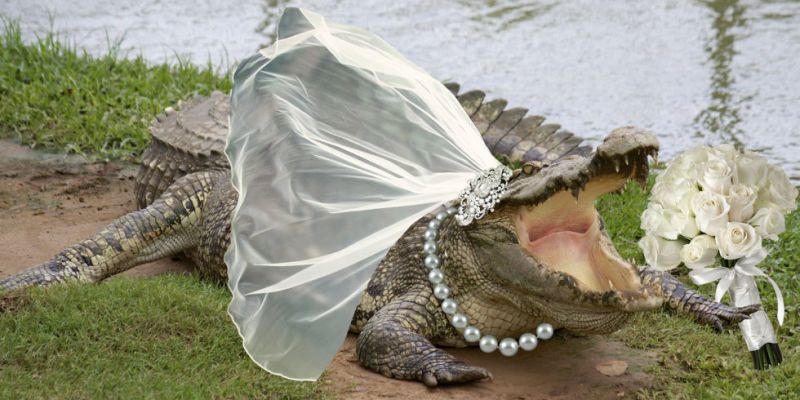 Krokodilt vett feleségül egy mexikói polgármester